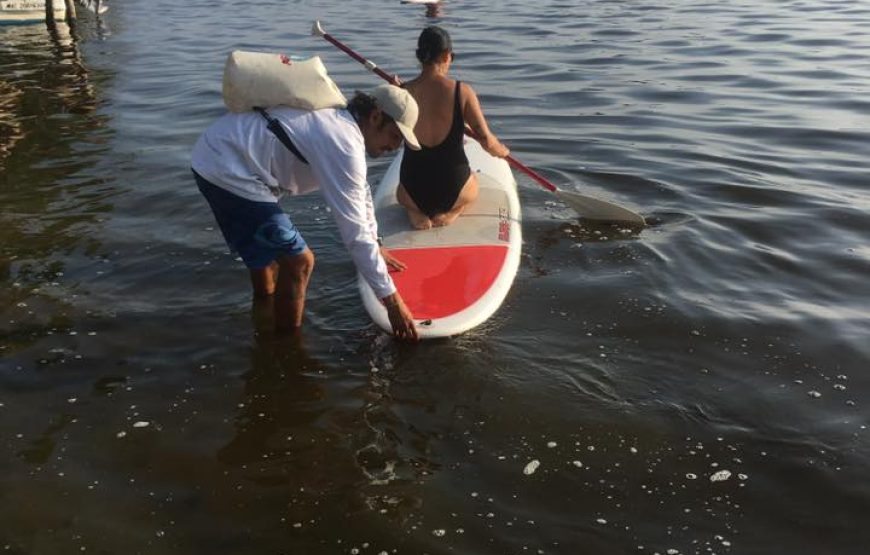 Kayak/Paddle Por El Mangle