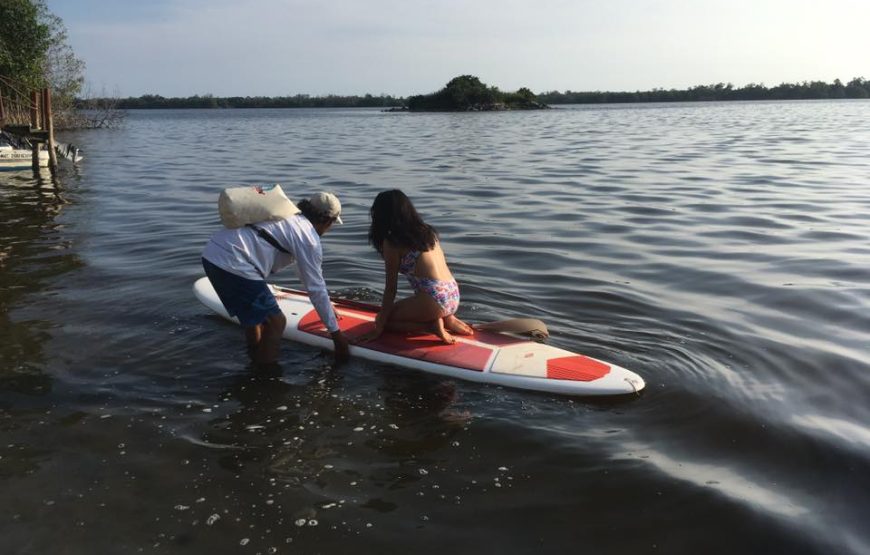 Kayak/Paddle Por El Mangle