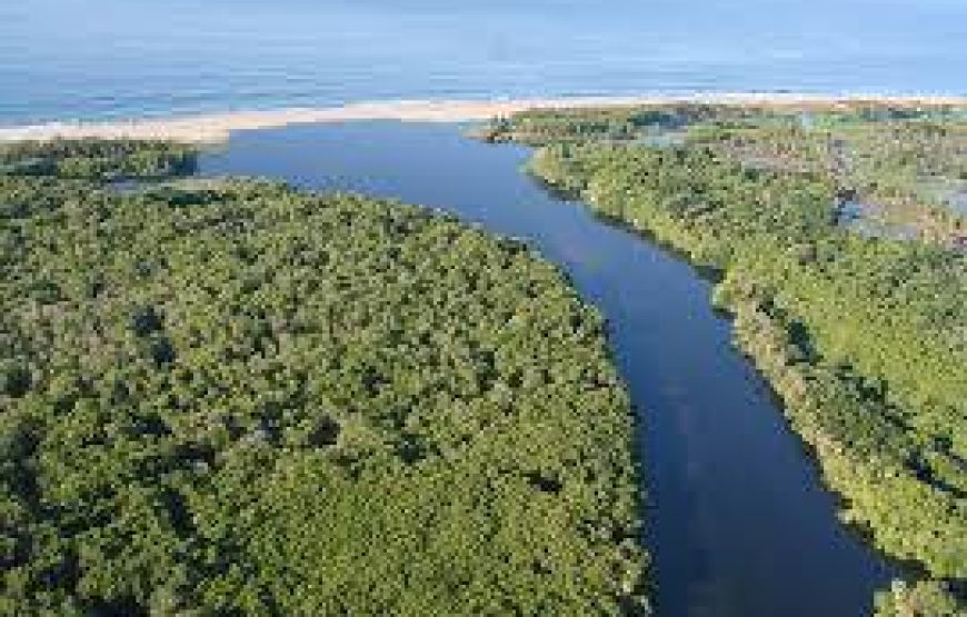 Parque Lagunas De Chacahua