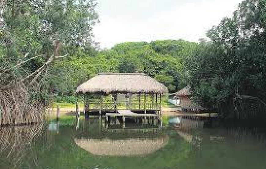 Parque Lagunas De Chacahua