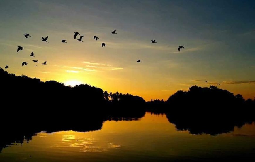 Parque Lagunas De Chacahua