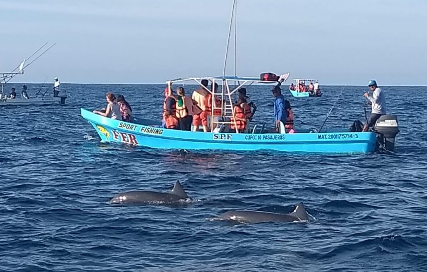 Aventuras en el Oceano