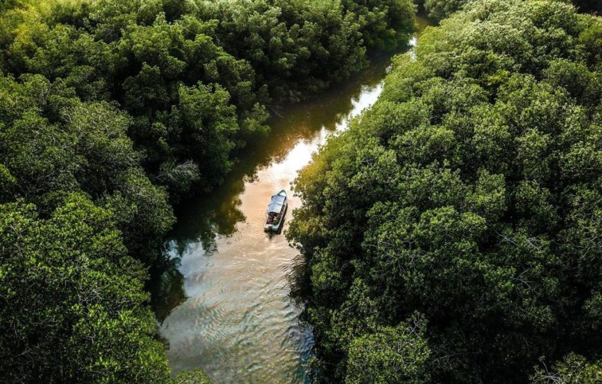 Parque Lagunas De Chacahua