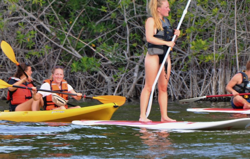 Kayak/Paddle Por El Mangle