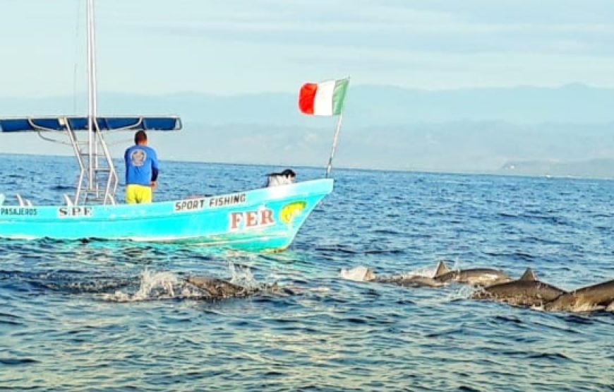 Aventuras en el Oceano